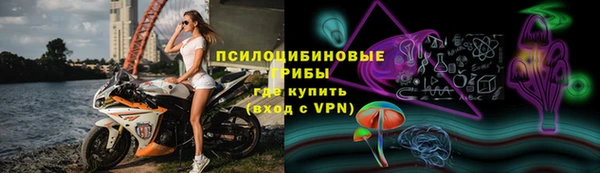ешки Абинск
