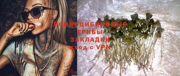 сатива Абдулино