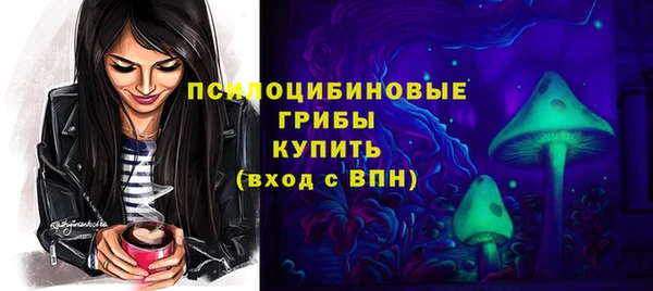 ешки Абинск