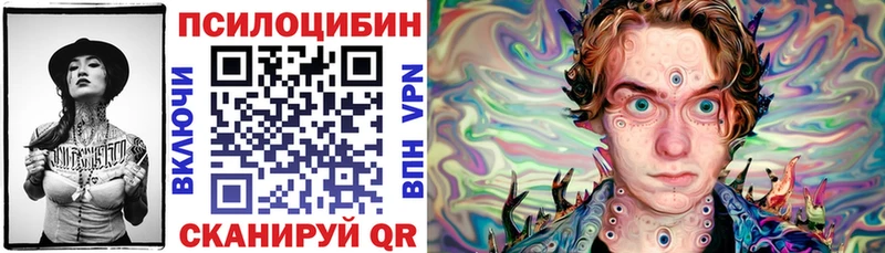 Псилоцибиновые грибы Psilocybine cubensis  кракен ссылки  Бежецк 