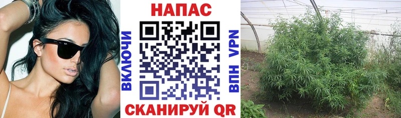 цена наркотик  Бежецк  OMG ТОР  Бошки марихуана семена 